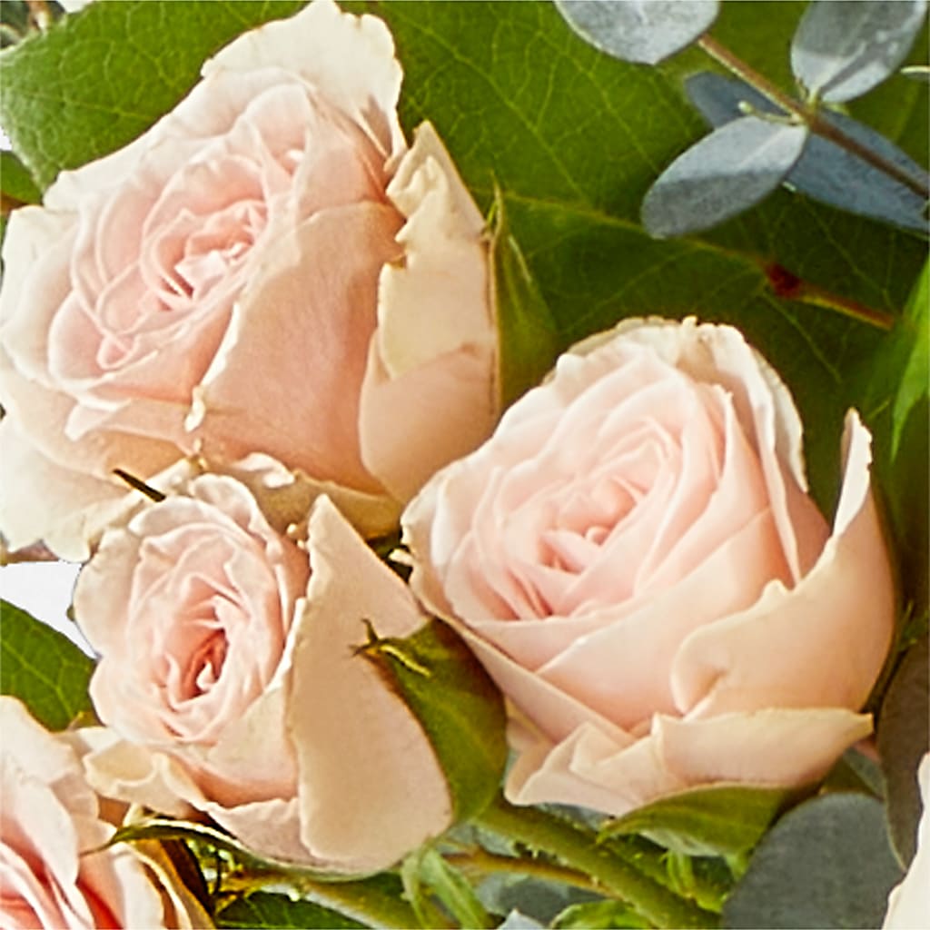 Inspired Bouquet – DIVINE FLORAL & GIFTS, Arlington TX