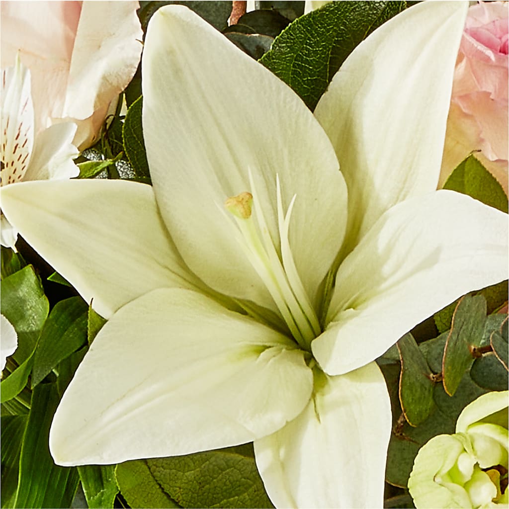 Ballet Slippers Bouquet – DIVINE FLORAL & GIFTS, Arlington TX