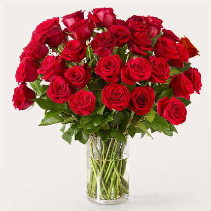 The One Red Rose Bouquet – DIVINE FLORAL & GIFTS, Arlington TX