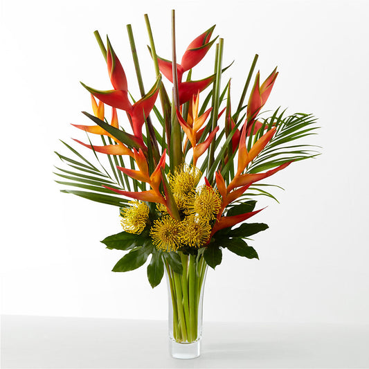 The Drama – DIVINE FLORAL & GIFTS, Arlington TX