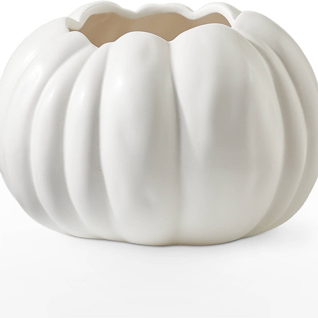 Autumn Air Pumpkin Bouquet – DIVINE FLORAL & GIFTS, Arlington TX